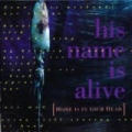 Home Is In Your Head by His Name Is Alive