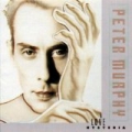 Love Hysteria by Peter Murphy
