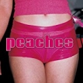The Teaches Of Peaches [Explicit] by Peaches