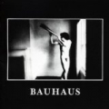 In The Flat Field by Bauhaus