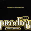 Fire (Edit) by The Prodigy