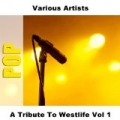 A Tribute To Westlife Vol 1 by Various Artists