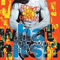 What Hits? [Explicit] by Red Hot Chili Peppers