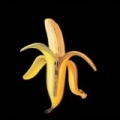 Welcome To The Monkey House by The Dandy Warhols