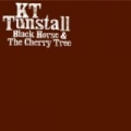 Black Horse And The Cherry Tree by KT Tunstall