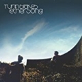 Ether Song [Explicit] by Turin Brakes