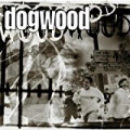 More Than Conquerors by Dogwood