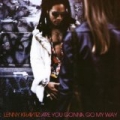 Are You Gonna Go My Way by Lenny Kravitz
