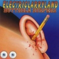 Electriclarryland [Explicit] by Butthole Surfers