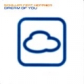Dream Of You by Schiller Featuring Heppner