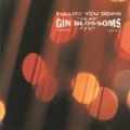 Follow You Down by Gin Blossoms