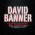 Speaker by David Banner