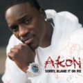 Sorry, Blame It On Me by Akon