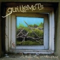 Through The Windowpane (e-album) by Guillemots