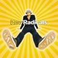 Maybe You've Been Brainwashed Too by New Radicals