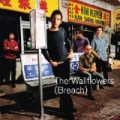 Breach by The Wallflowers