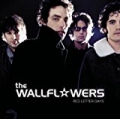 Red Letter Days by The Wallflowers