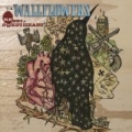 Rebel, Sweetheart by The Wallflowers
