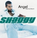 Angel by Shaggy