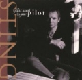 Let Your Soul Be Your Pilot by Sting