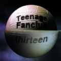 Thirteen by Teenage Fanclub
