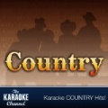 Karaoke - Contemporary Female Country - Vol. 29 by Sound Choice Karaoke
