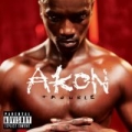 Trouble [Explicit] by Akon