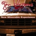 New Miserable Experience by Gin Blossoms