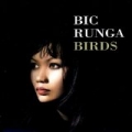 Birds by Bic Runga