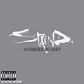14 Shades Of Grey (US version) [Explicit] by Staind