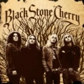 Black Stone Cherry by Black Stone Cherry