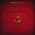 The Burning Red by Machine Head