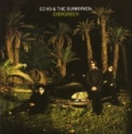 Evergreen by Echo And The Bunnymen