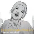 Temperamental by Everything But The Girl