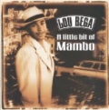 A Little Bit Of Mambo by Lou Bega