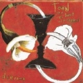 Dulcinea by Toad The Wet Sprocket