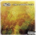 Grassroots [Explicit] by 311