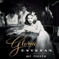 Mi Tierra by Gloria Estefan
