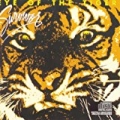 Eye Of The Tiger by Survivor