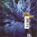 Downward Is Heavenward by Hum