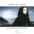 Mad, Bad And Dangerous To Know by Dead Or Alive
