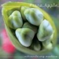 Extraordinary Machine by Fiona Apple