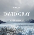 Life In Slow Motion by David Gray
