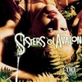 Sisters Of Avalon by Cyndi Lauper