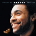 Mr Lover Lover - The Best Of Shaggy... (Part 1) [Explicit] by Shaggy