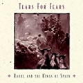 Raoul and The Kings of Spain (Album Version) by Tears For Fears