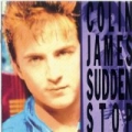 Sudden Stop by Colin James