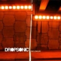 The Low Life by Dropsonic