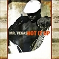 Hot It Up by Mr. Vegas