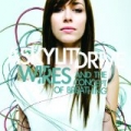 Wires...And The Concept Of Breathing [+digital booklet] by A Skylit Drive